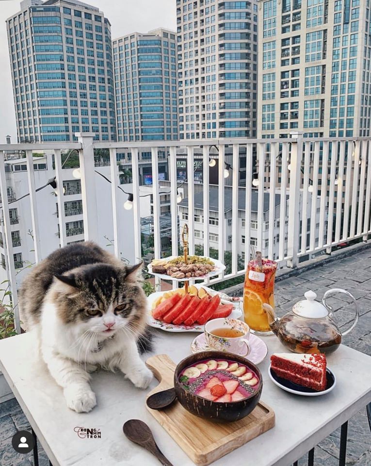103800467_858467924559951_5266264744872863955_n-14 quán cafe ngon phạm ngũ lão