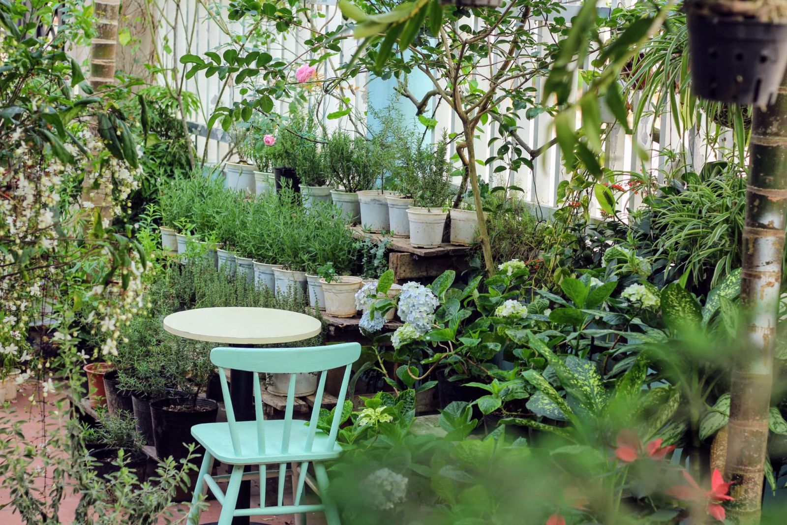 176486165_1115917355595931_9139262281355134227_n