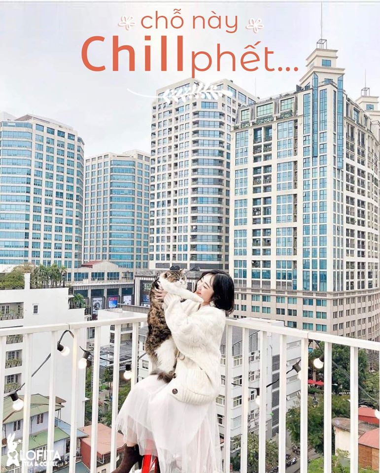 85204533_780802135659864_5564592261859115008_o cà phê mèo hà nội