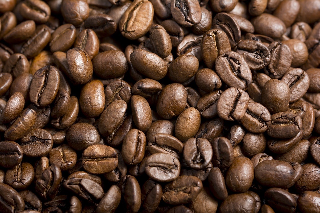 Cà phê Robusta