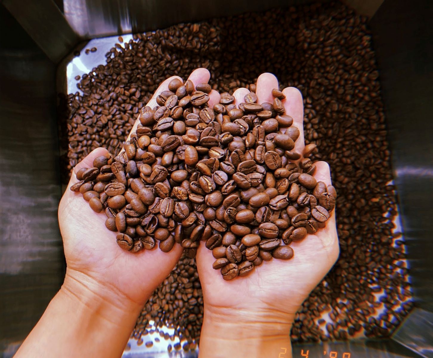 cafe Robusta