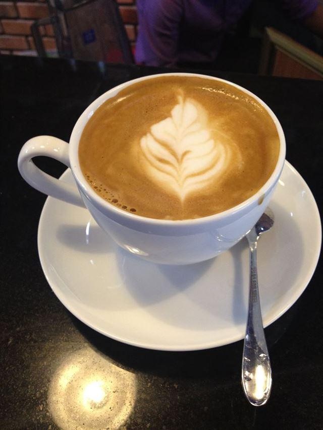 cafengon5
