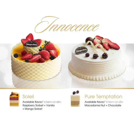 Bánh Kem Lạnh Haagen Dazs