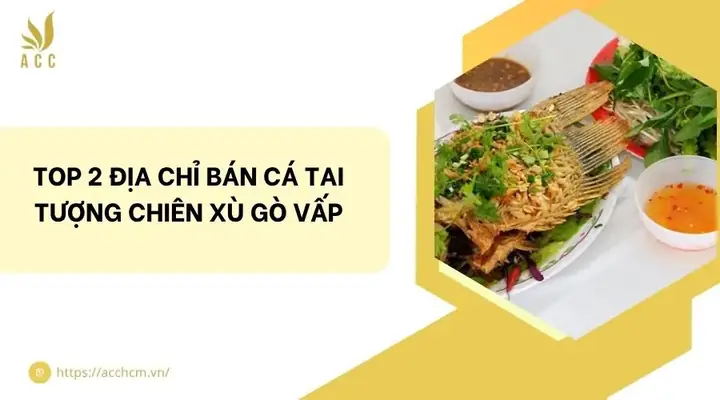 Đánh Giá Chi Tiết: Cá Tai Tượng Chiên Xù Gò Vấp Chất Lượng Nổi Tiếng