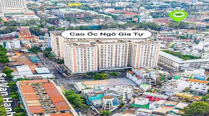 Review Chi Tiết Dự Án Chung Cư Ngô Gia Tự: Phân Tích Toàn Diện Trước Khi Đầu Tư