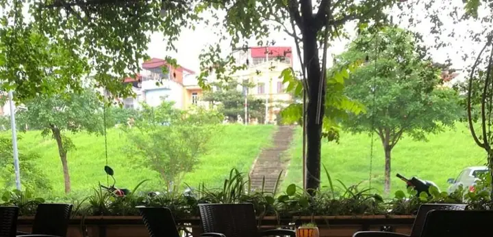 Meo Cà Phê Ngọc Thụy