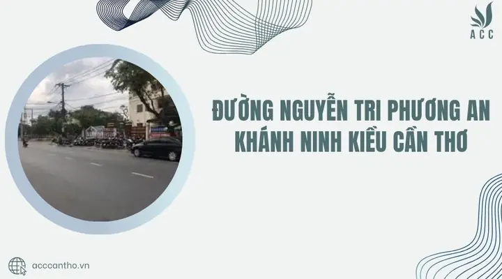 Ẩm Thực Đường Nguyễn Văn Cừ Nối Dài: Khám Phá Điểm Hẹn Sôi Động Quận Ninh Kiều