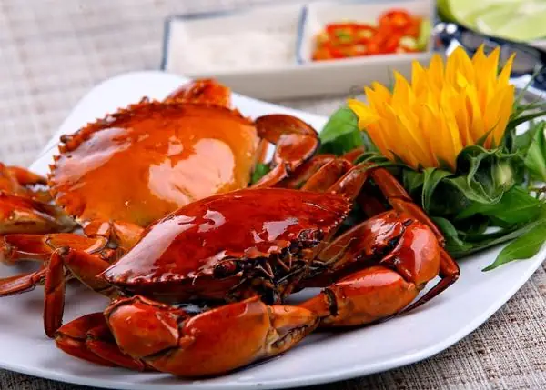 Nhà Hàng Thiết Mộc Lan Đồng Khởi: Review Đầy Đủ Và Đánh Giá Khách Quan
