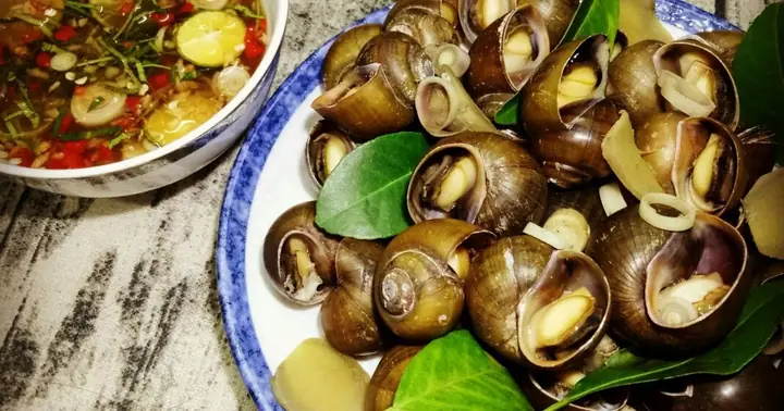 Quán Ốc Chị Lệ 88 Cửa Bắc: Trải Nghiệm Hải Sản Đúng Điệu Tại Trung Tâm Hà Nội