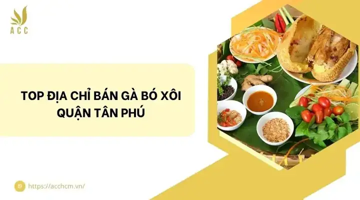 Quán Gà Bó Xôi Gần Đây: Đánh Giá Chi Tiết Top 5 Lựa Chọn Tốt Nhất