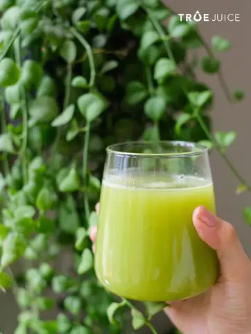 Quán Nước Ép Trái Cây Hà Nội: 11 Địa Chỉ Chất Lượng Nhất