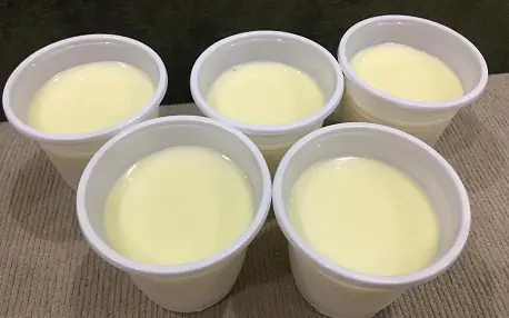 Sữa Chua Phô Mai Đà Lạt: 10 Quán Ngon Nhất Được Yêu Thích