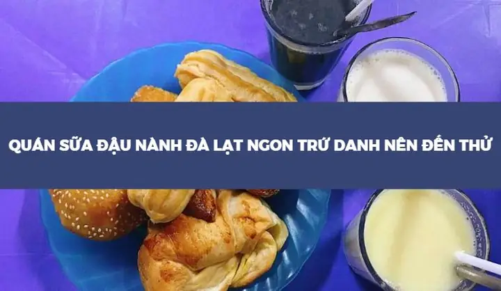 Top 8 Quán Sữa Đậu Nành Đà Lạt Ngon Nhất: Trải Nghiệm Không Thể Bỏ Lỡ