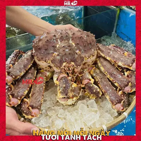 Top 10 Vựa Hải Sản Bình Thạnh Uy Tín Nhất 2026: Đánh Giá Chi Tiết Từ A-z
