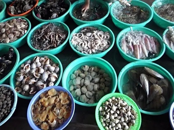 Vựa Hải Sản Thủ Đức: Cẩm Nang Chọn Mua & Đánh Giá Chất Lượng Tươi & Đông Lạnh