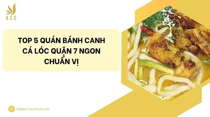 Đánh Giá Chi Tiết Top 5 Quán Bánh Canh Cá Lóc Quận 7: Từ Nước Dùng Đậm Đà Đến Sợi Bánh Dai Đỉnh Cao