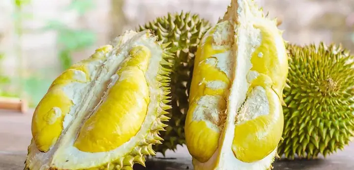 Bánh Crepe Sầu Riêng Gia Lai