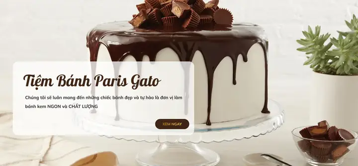 Bánh Sinh Nhật Paris Gato