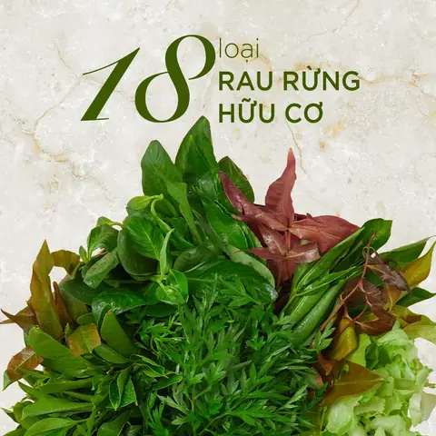 Bánh Tráng Cuốn Thịt Heo Tây Ninh: Đánh Giá Chi Tiết Nhà Hàng Hoàng Ty