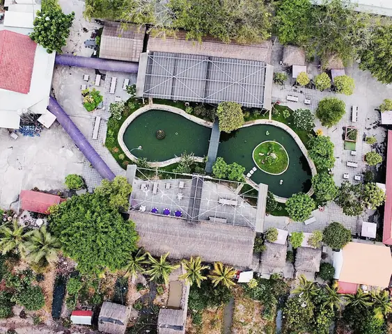 Bò Tơ Tây Ninh: Bí Quyết Chọn Mua Và Nấu Ăn Đạt Chuẩn Món Ngon
