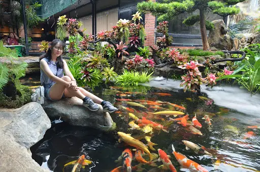 Cafe Ca Koi Binh Duong