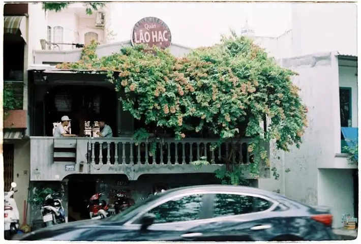 Cafe Lão Hạc Hóc Môn