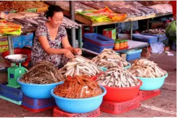 Hướng Dẫn Mua Cá Khô Vũng Tàu Giá Rẻ Tại Chợ Bà Rịa