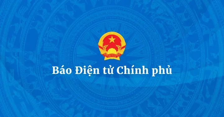 Review Chợ Nguyễn Kim Đà Nẵng: Đánh Giá Chi Tiết Mô Hình Siêu Thị Kết Hợp