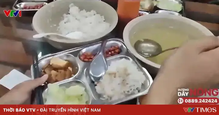 Cơm Sinh Viên Hà Nội: Sự Thật Về An Toàn Thực Phẩm Trong Bếp Ăn Tập Thể