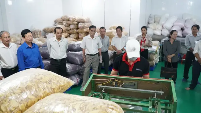 Công Ty Tnhh Đông Phát Food
