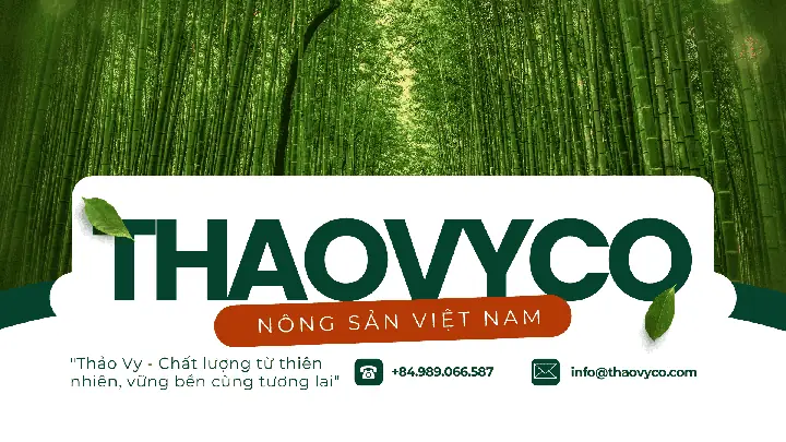 Đánh Giá Công Ty Thảo Vy: Đối Tác Xuất Khẩu Nông Sản Uy Tín