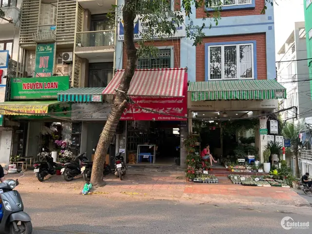 Cửa Hàng Hoa Hoàng Hoa Thám