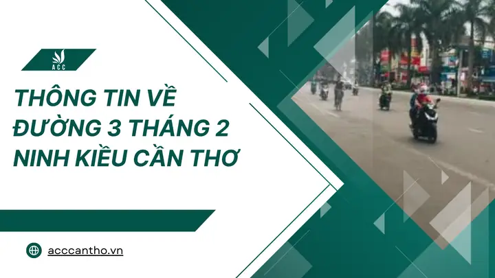 Đường 3 Tháng 2 Ninh Kiều Cần Thơ: Khám Phá Thiên Đường Ẩm Thực Miền Tây