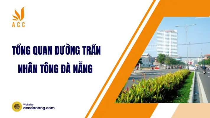Duong Tran Nhan Tong Da Nang