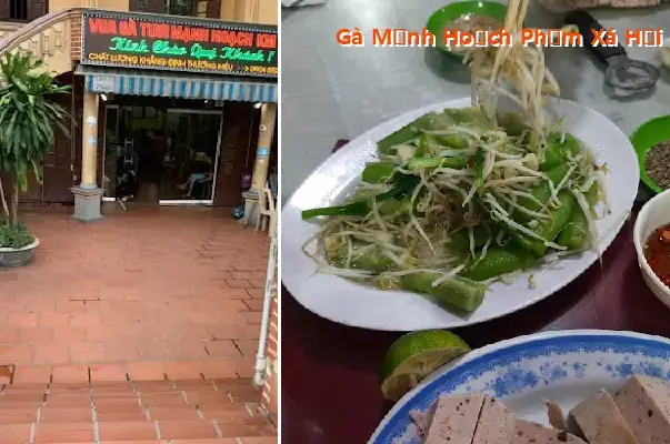 Gà Mạnh Hoạch Phạm Xá Hải Dương: Đánh Giá Chi Tiết Và Trải Nghiệm Thực Tế