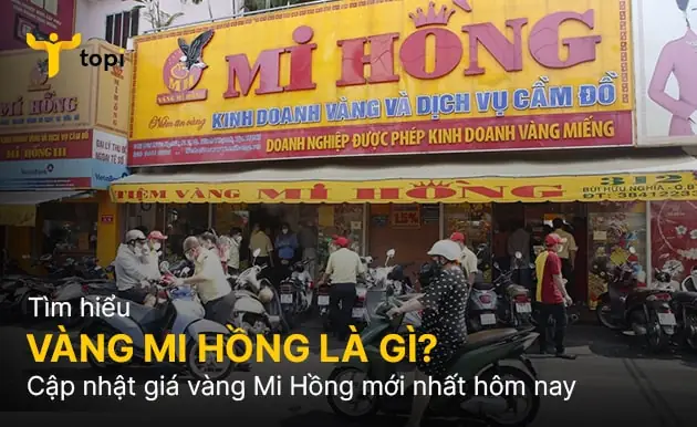 Gia Vang Tiem Mi Hong