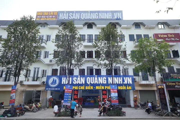 Hải Sản Quảng Ninh Tại Hà Nội: Review Chi Tiết Top 5 Địa Chỉ Uy Tín & Bí Quyết Chọn Mua