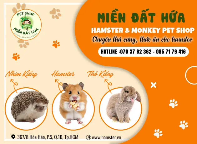 Hamster Shop Miền Đất Hứa Quận 10