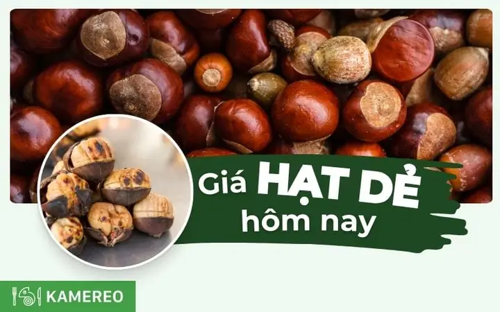 Giá Hạt Dẻ 2026: Bảng Giá Chi Tiết Và Đánh Giá Các Loại Phổ Biến
