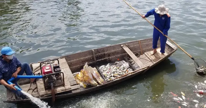 Hồ An Biên: Hiểu Về Ô Nhiễm Nước Và An Toàn Thực Phẩm Thủy Sản