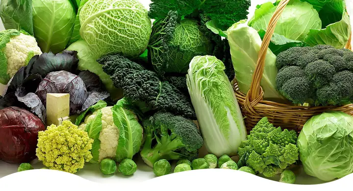 Hoa Quả Tươi Đà Lạt: Top 15 Loại Đặc Sản Ngon Nhất Và Bí Quyết Chọn Mua
