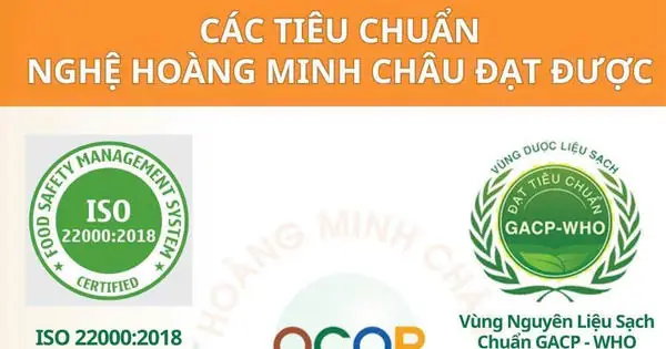 Nghệ Nếp Đỏ Hưng Yên: Bí Quyết Sức Khỏe Từ Vùng Đất Vàng