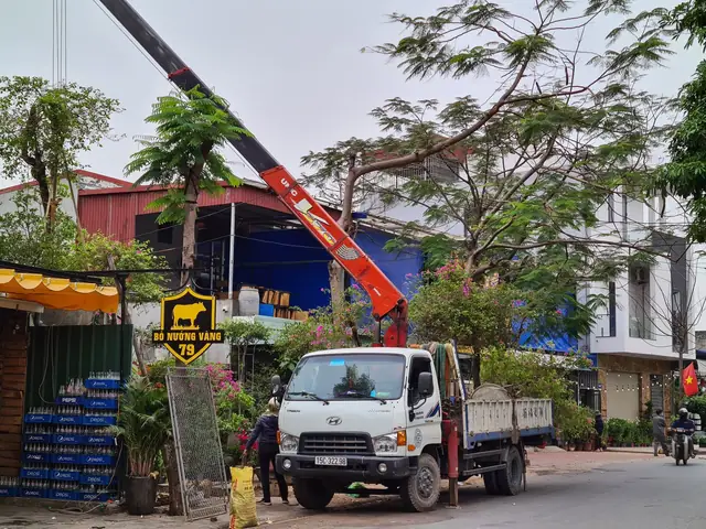 Ẩm Thực Đường Phố Hải Phòng: Khám Phá Khu Vực Chợ Hàng Quanh Đường Hoàng Minh Thảo Ẩm Thực Đường Phố Hải Phòng: Khám Phá Khu Vực Chợ Hàng Quanh Đường Hoàng Minh Thảo