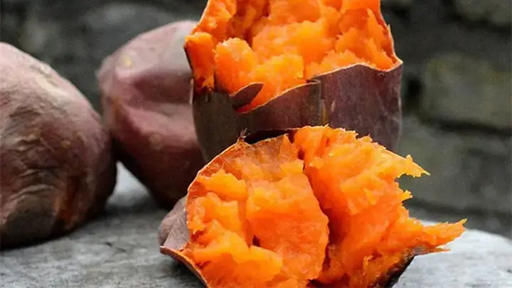 Khoai Lang Mật Nướng Hà Nội