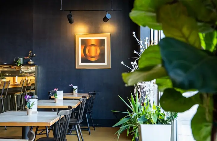 Đánh Giá Chi Tiết Thực Đơn Nhà Hàng Kin Kin Thai: Sự Đa Dạng Từ Ẩm Thực Thái Đến Sushi Nhật Bản