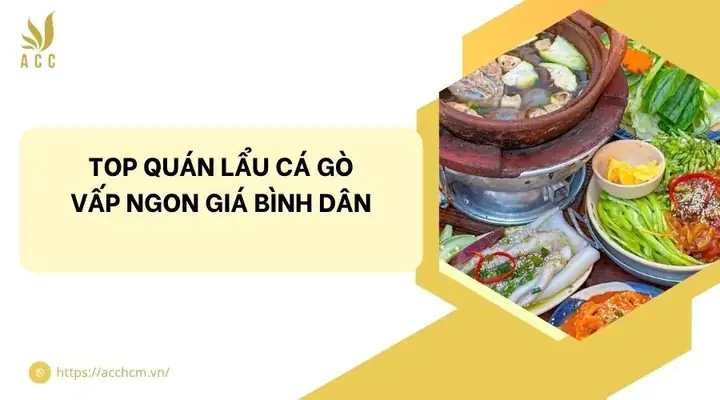 Lẩu Cá Kèo Gò Vấp