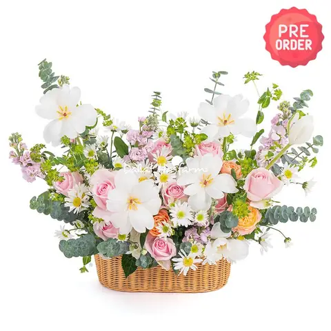 Lấy Sỉ Hoa Đà Lạt Hasfarm