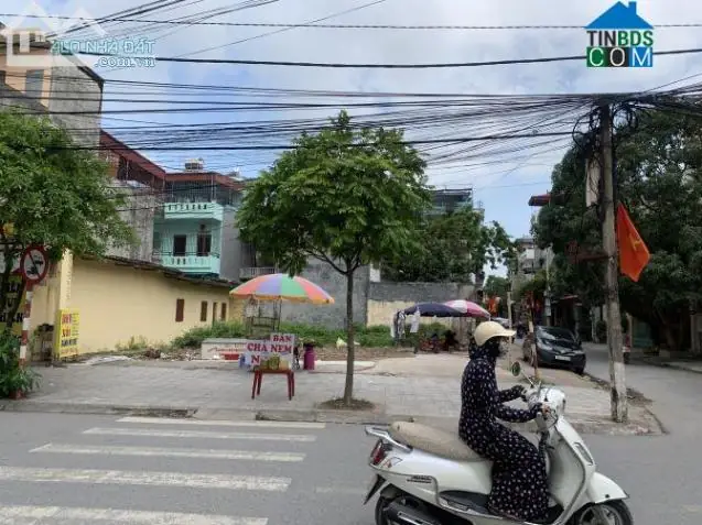Lê Đại Hành Thái Bình