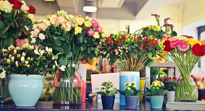 Mua Hoa Ở Đâu Rẻ Tphcm