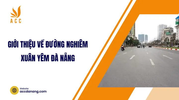 Khám Phá Ẩm Thực Đà Nẵng Dọc Theo Đường Nghiêm Xuân Yêm